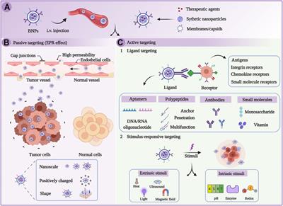 Multifunctional Mitochondria-Targeting Nanosystems for Enhanced Anticancer Efficacy